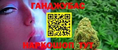 прущие грибы Будённовск
