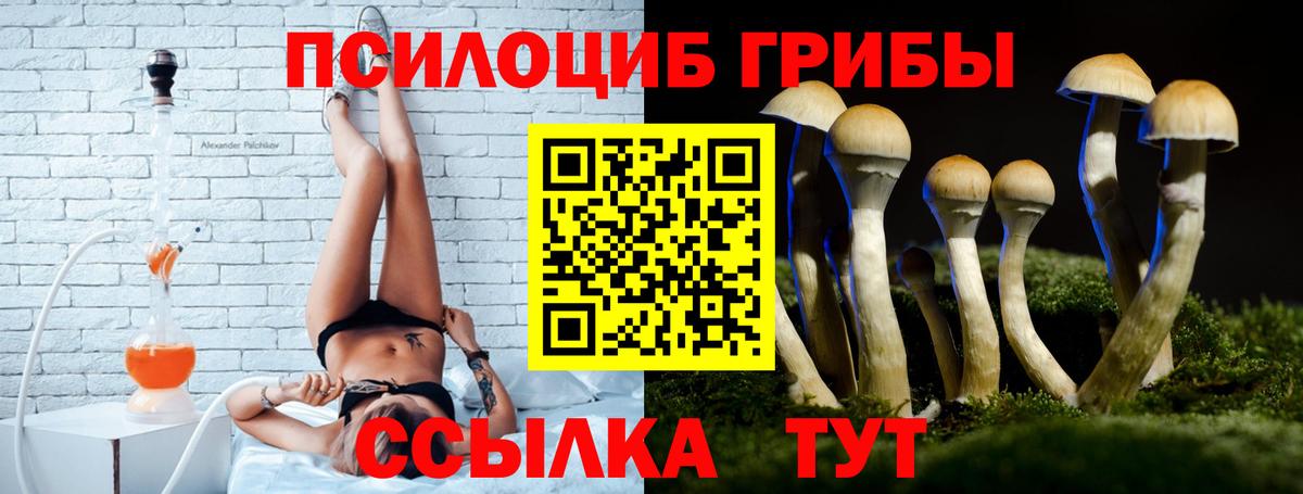 Галлюциногенные грибы Cubensis  Вход с VPN  Батайск 